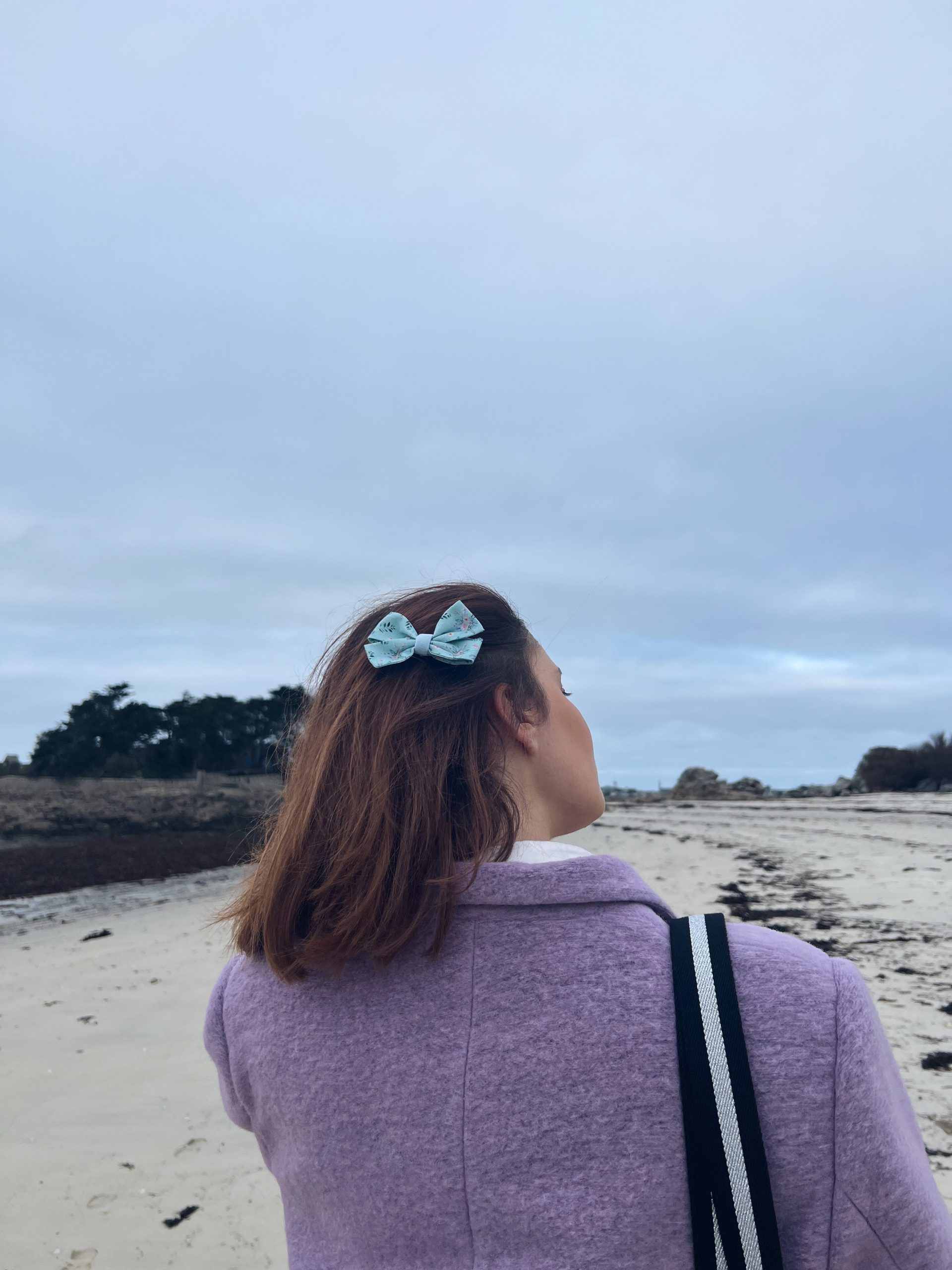 Barrette Saint-Malo